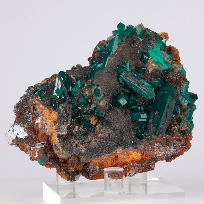 170g Multi Crystal Dioptase Specimen from Congo title=