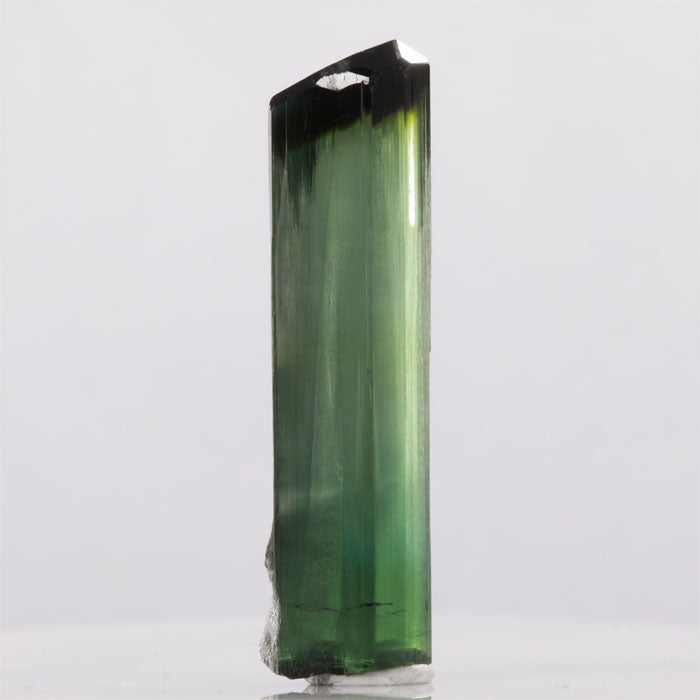 58ct Deep Green Bi-Color Tourmaline Crystal with Dark Green Termination title=