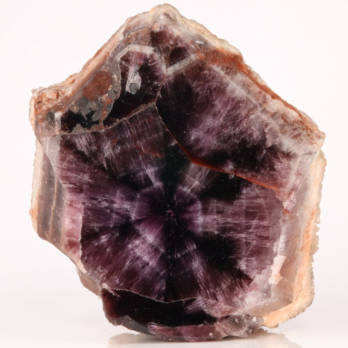 634g White Shell Trapiche Amethyst Crystal title=