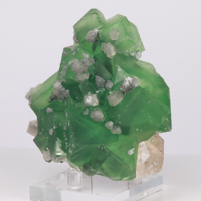 310g Vibrant Green Fluorite Crystals with Calcite title=