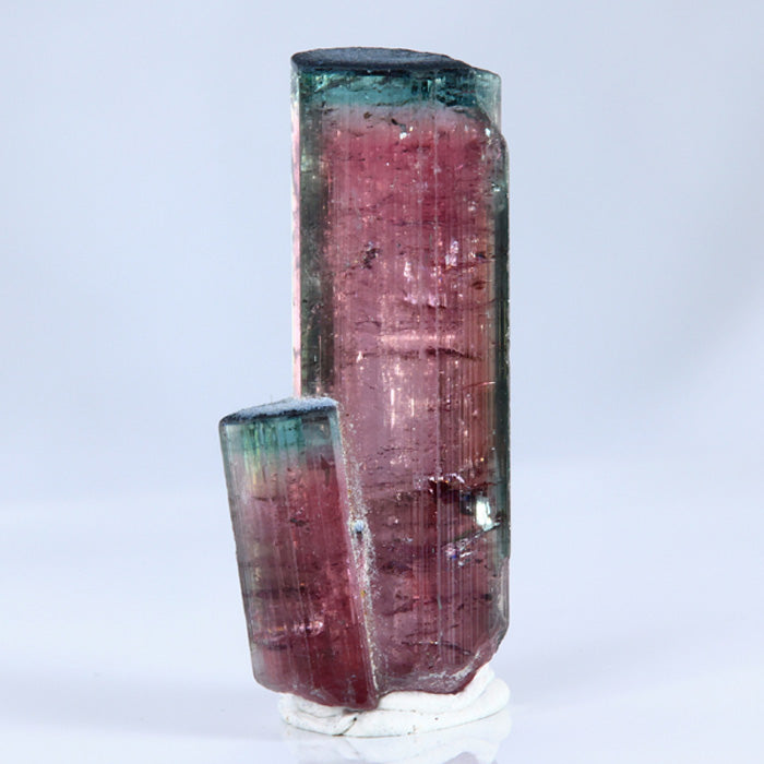 71.02ct Bi Color Tourmaline Crystal from Brazil title=