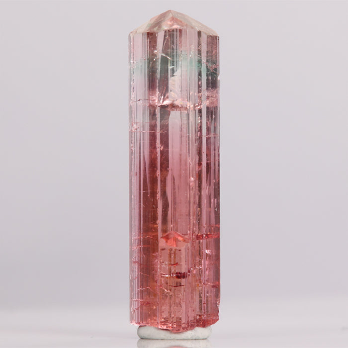 21.70ct BiColor Peachy Pink Tourmaline Crystal from Congo title=