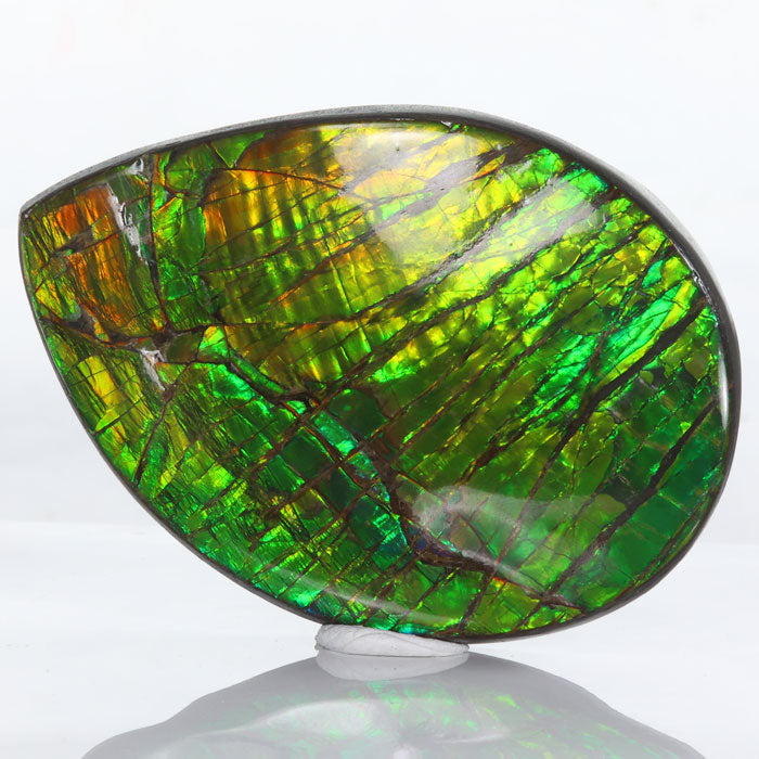 268g Green Ammolite Fossil Fragment title=