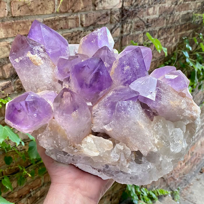 8.2 Kilo XL Amazing Amethyst Cluster title=