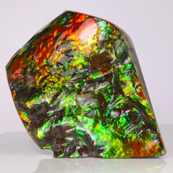 748g MultiColor Double Sided Ammolite Fossil Fragment from Canada title=